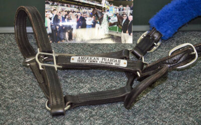 American Pharoah’s Halter, Mission (Almost) Impossible