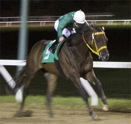 Balooga Bull becomes first horse in history to win three consecutive Gold Cups at Assiniboia Downs