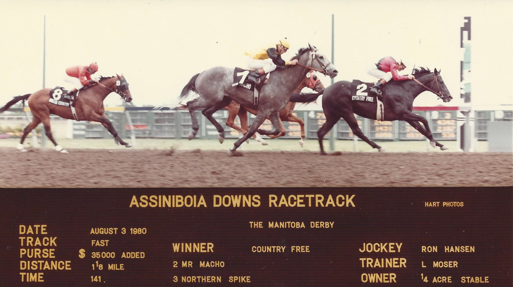 Mr. Macho finishes second in the 1980 Manitoba Derby.