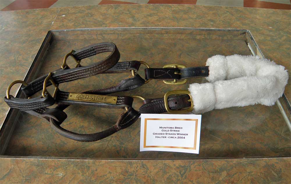 Gold Strike's halter on display at Assiniboia Downs in the "Racing Through Time" display area. 