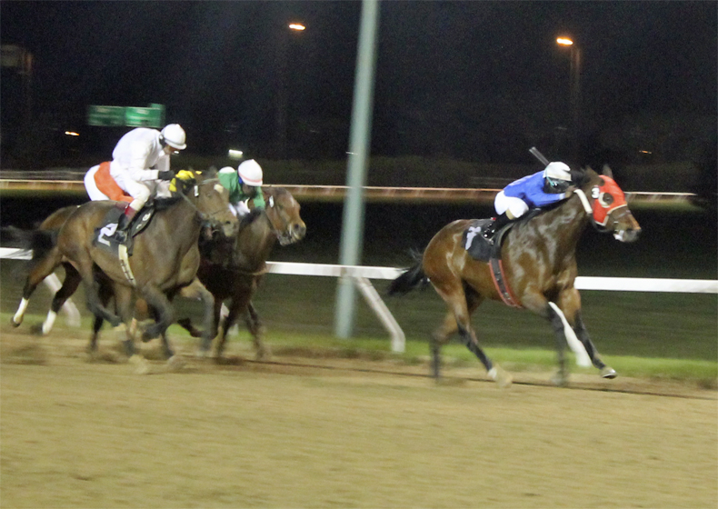 Chris Husbands wins his fourth race on opening night at ASD aboard Sober Sue in the eighth race.