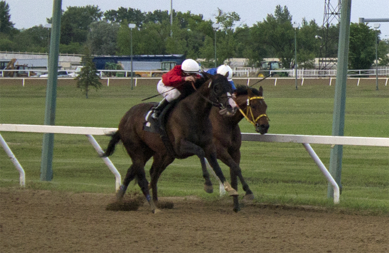 Magic D ' Oro (red silks) gets the best of Balooga Bull in the 2014 Free Press Stakes.
