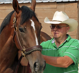 On Andy’s Advice – 2014 Manitoba Derby Contenders