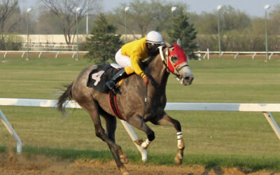 Husbands wins 4 on opening night 2016 at ASD, Wagering doubles