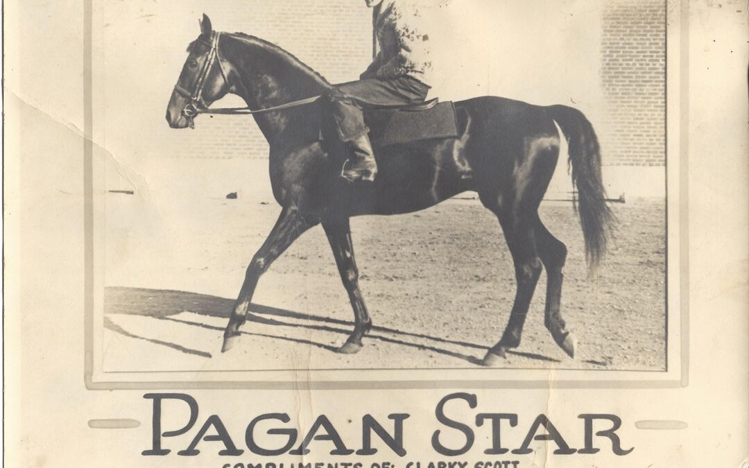 Remembering Pagan Star. All-Time Western Canadian Money Winner (circa 1951)