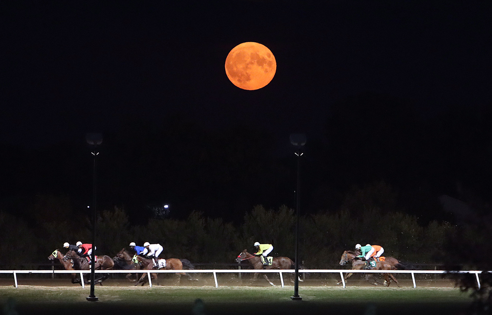 Racing under the harvest moon at Assiniboia Downs. (Jason Halstead photo)