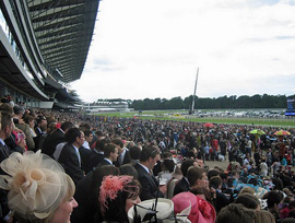 Royal Ascot Week: A Guide to Viewing and Betting
