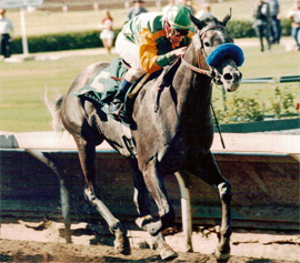 Smoky Cinder wins Canadian Derby. Aug. 30, 1997.