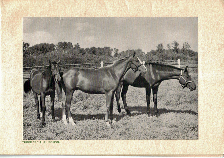 Three for the hopeful at Pine River Ranch.