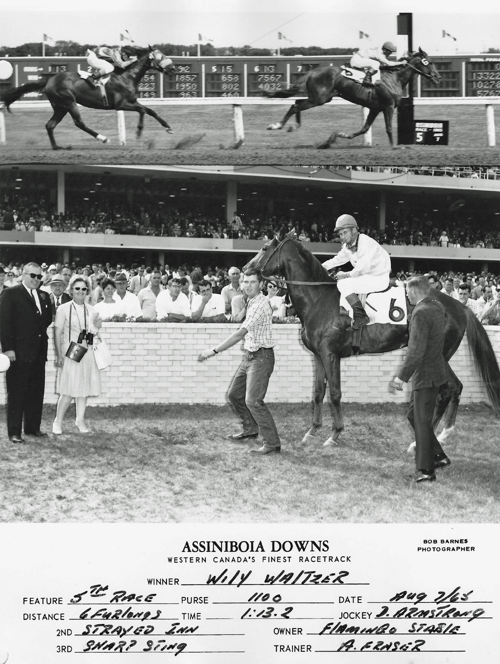 Wily Waltzer wins at ASD for Flaming Stable. August 7, 1965.