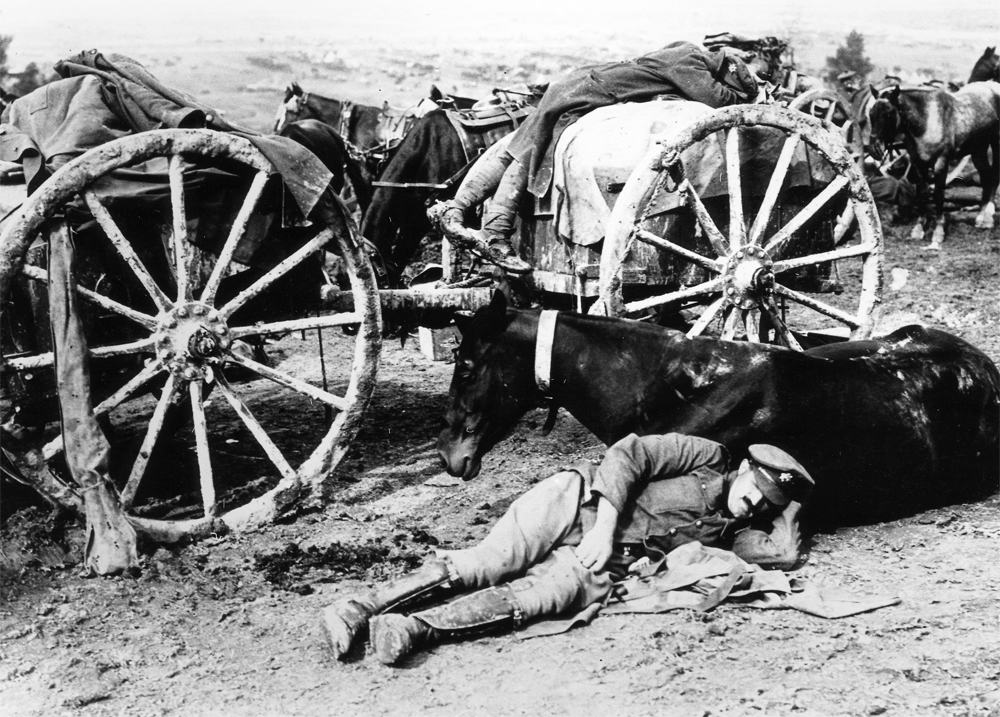 A well deserved rest during The Great War. For man and horse.