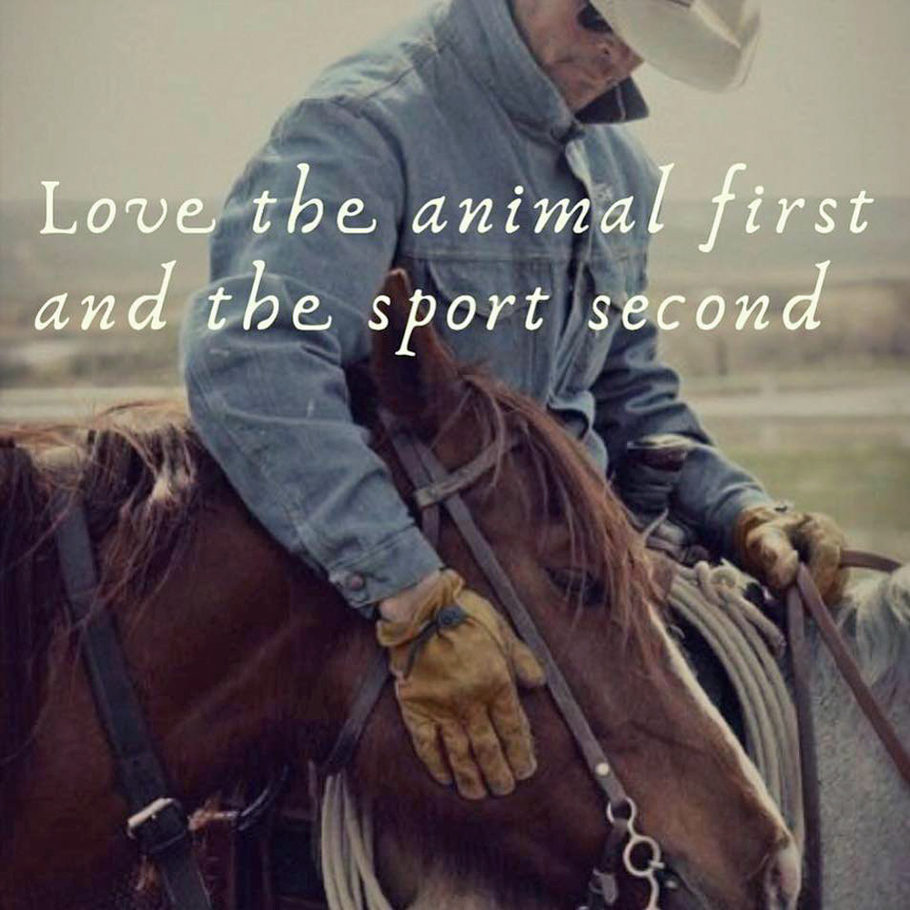 Love the racehorse first, and the sport second.