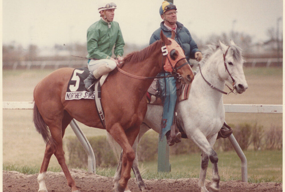 The Clare’s family horse operation was built on passion