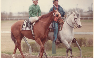 The Clare’s family horse operation was built on passion