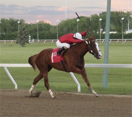 Nose the Pose gives Meyaard second straight stakes win, Chow boots home biggest longshot of meet