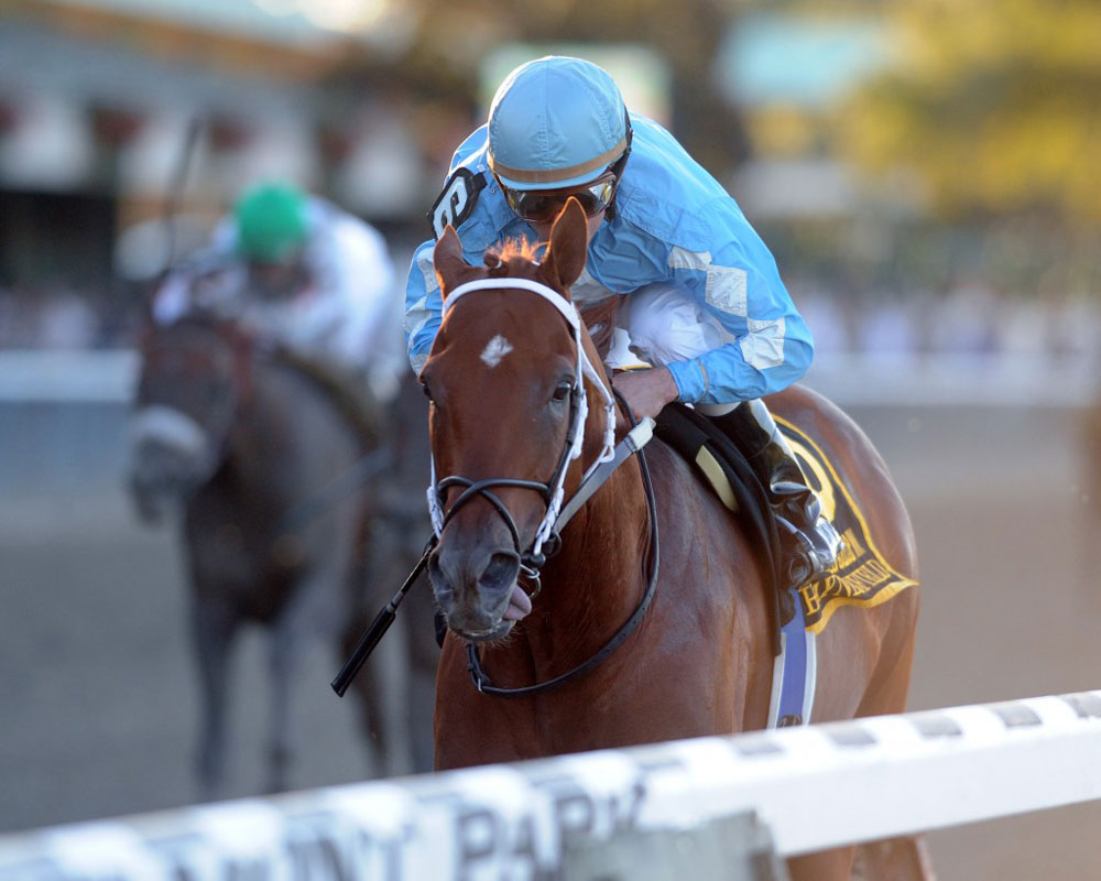 Hay Listen Up is a son of Haynesfield, shown here winning the 2010 Jockey Club Gold Cup (G1). (Adam Coglianese photo)