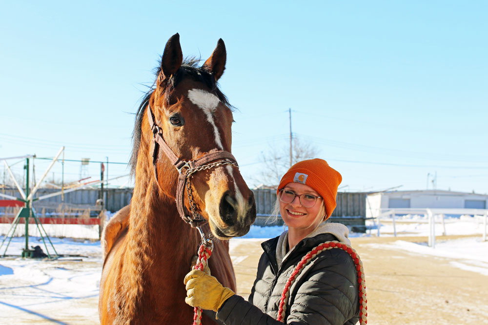 Horses Arrive in the ASD Backstretch