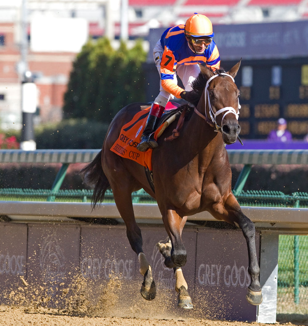 Absolutely Stylish is a son of champion and influential sire Uncle Mo, shown here winning the 2010 Breeders' Cup Juvenile (G1). (Barbara D. Livingston photo)