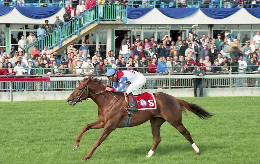 Vindgari is a half brother to Woodbine Mile winner Geri. (Michael Burns photo)