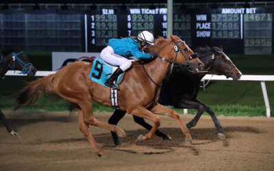 Monster Pick 4 Payoff, Huge Pools, Highlight Week at ASD, Ciera Pruitt Scores First Lifetime Win