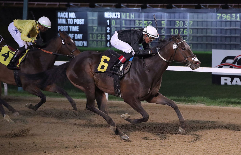 Corredor7thRaceASDMay14JasonHalstead1k Corredor wins the 7th race on Wednesday, May 14 at ASD for trainer Steve Keplin, Jr. Damario Bynoe up. (Jason Halstead / Assiniboia Photo)