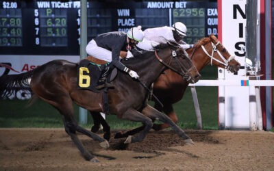 Million Dollar Plus Handles & Lucrative Pick 4 Payoff, Highlight Opening Week at ASD