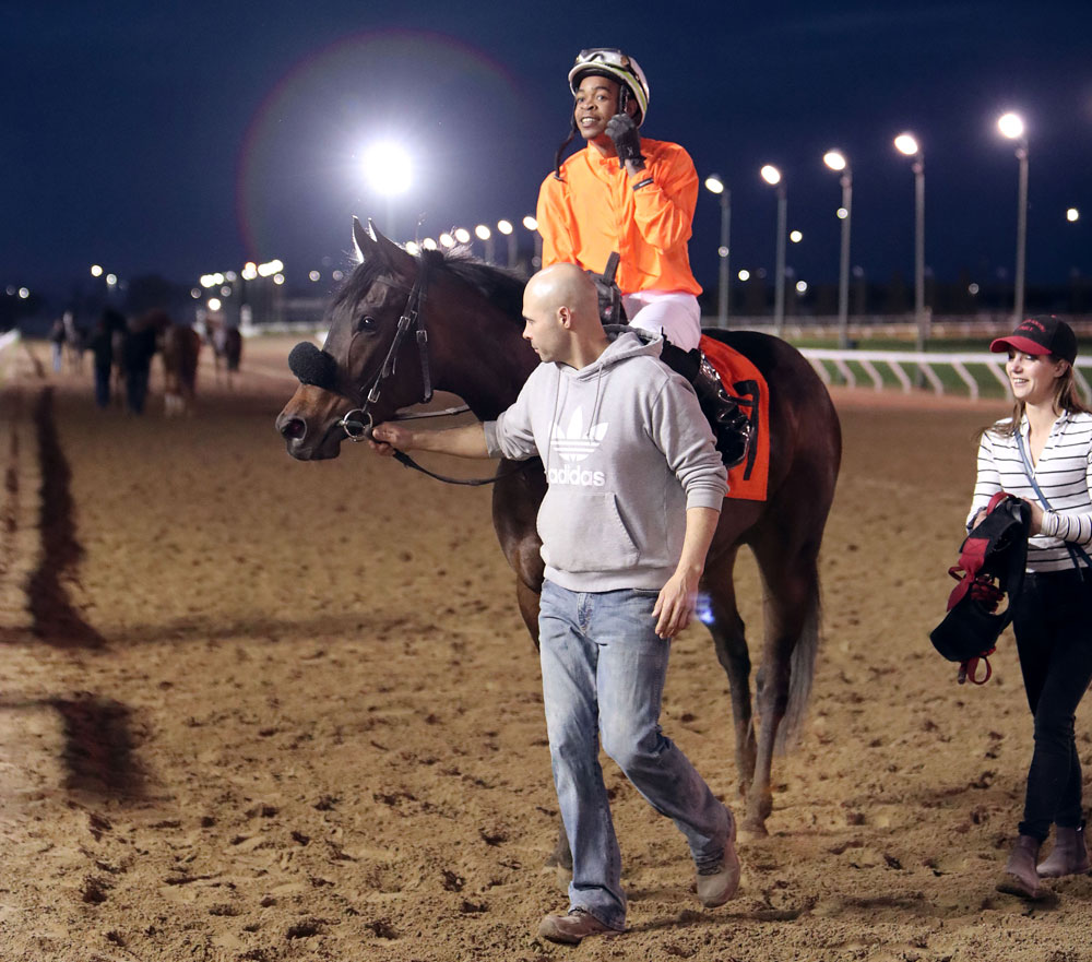 Nikkitysplit is led into the winner's circle with leading rider Rachaad Knights aboard for trainer Tom Gardipy, Jr. after the sixth race on Tuesday. (Jason Halstead / Assiniboia Photo)
