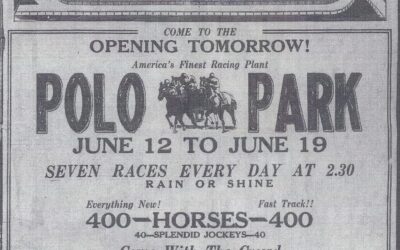 Polo Park Celebrates Centenary