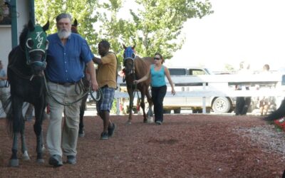 A Small Tribute for a Big, Big Man – Michael Thomas Olito