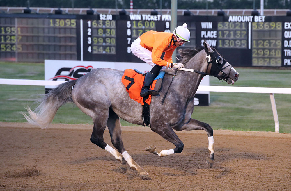 JoesHadEnough1kASD-June-11-2025-Rc4-forGW-02 Joe’s Had Enough wins the fourth race on Wednesday, giving leading trainer Steve Keplin, Jr. a hat trick on the week. Prayven Badrie up. (Jason Halstead / Assiniboia Photo)