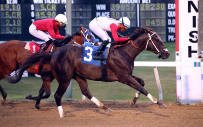 $100 Winner Triggers Monster Pick 4 Payoff, Fans Feast on Stakes