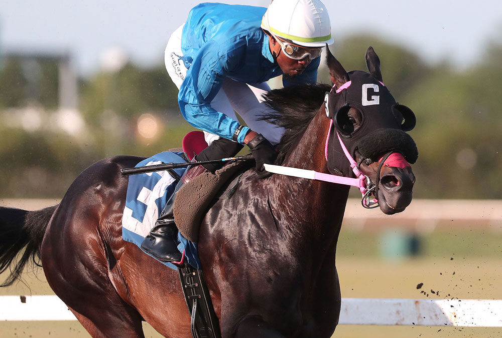 Nikkitysplit wins Hazel Wright, Whitehall stays hot, Pruitt gets fifth lifetime win