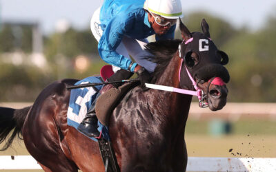 Nikkitysplit wins Hazel Wright, Whitehall stays hot, Pruitt gets fifth lifetime win