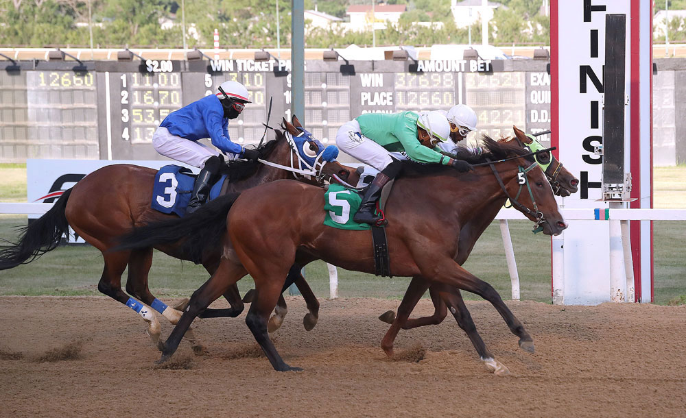 Race1CanadaDay1k Commandoslastdance (outside) and Antonio Whitehall dead heat for the win in the first race on Tuesday with Betty Joe and Neville Stephenson. (Jason Halstead / Assiniboia Photo)