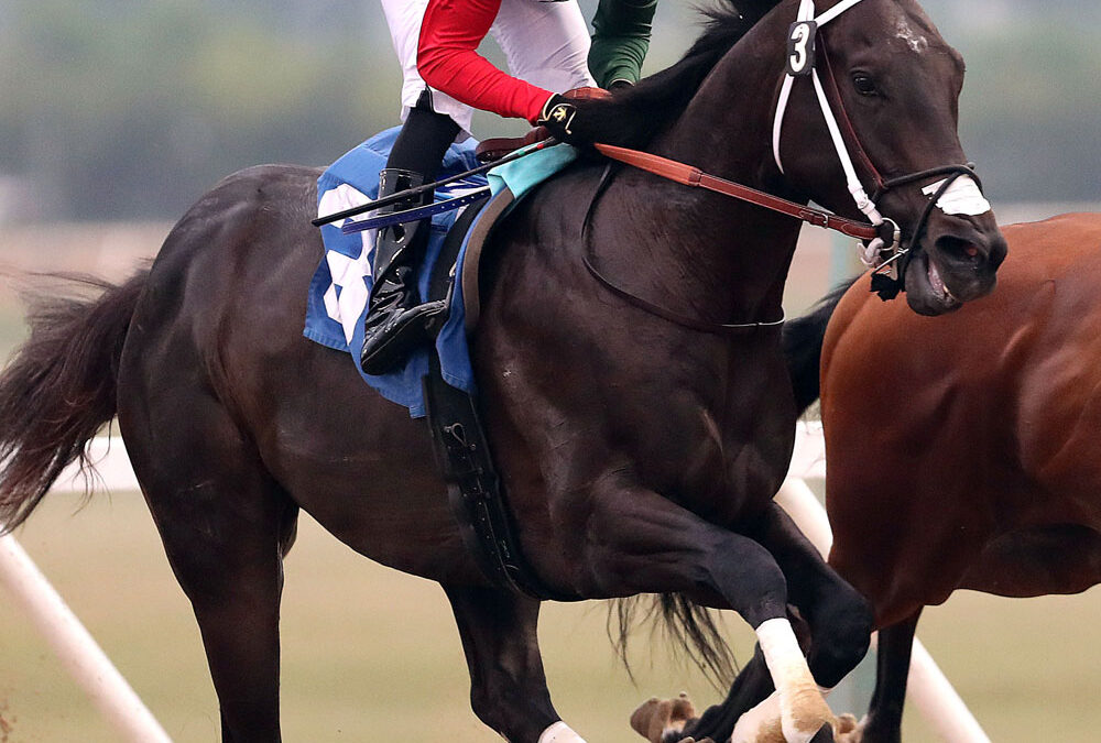 Stellar Card for Monday’s $125,000 Manitoba Derby, Two-Year-Olds Put On a Show