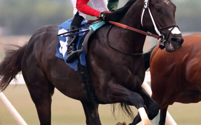 Stellar Card for Monday’s $125,000 Manitoba Derby, Two-Year-Olds Put On a Show