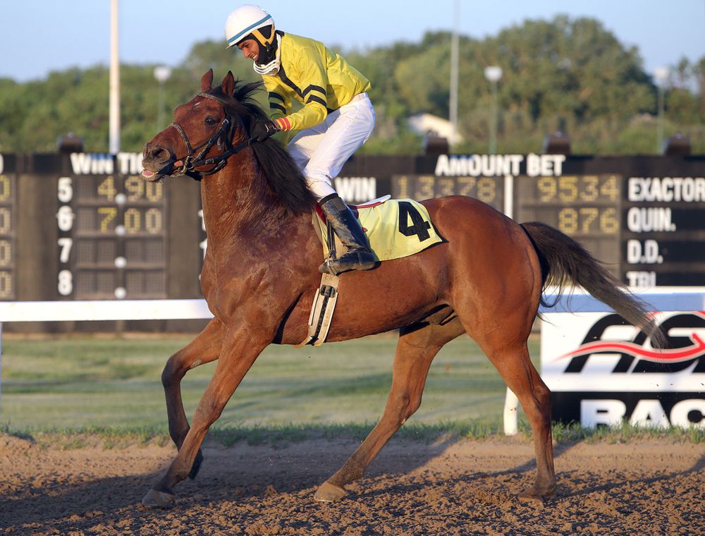 overnight-stakes-plentiful