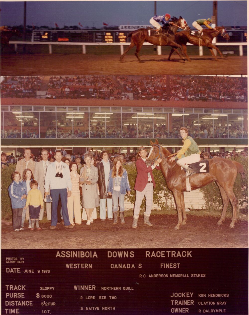 rc-anderson-northern-quill