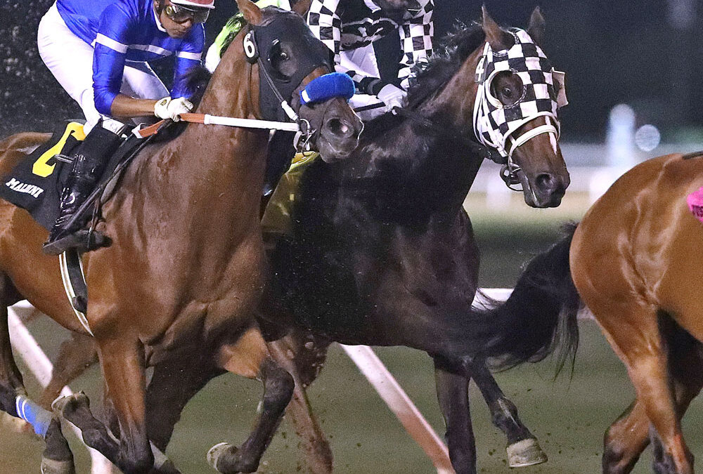 Attack Wins 77th Manitoba Derby, Monster Pick 4 Payoff Tuesday, Girls Night Out Rocks Wednesday!
