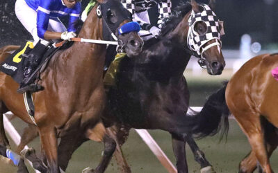 Attack Wins 77th Manitoba Derby, Monster Pick 4 Payoff Tuesday, Girls Night Out Rocks Wednesday!