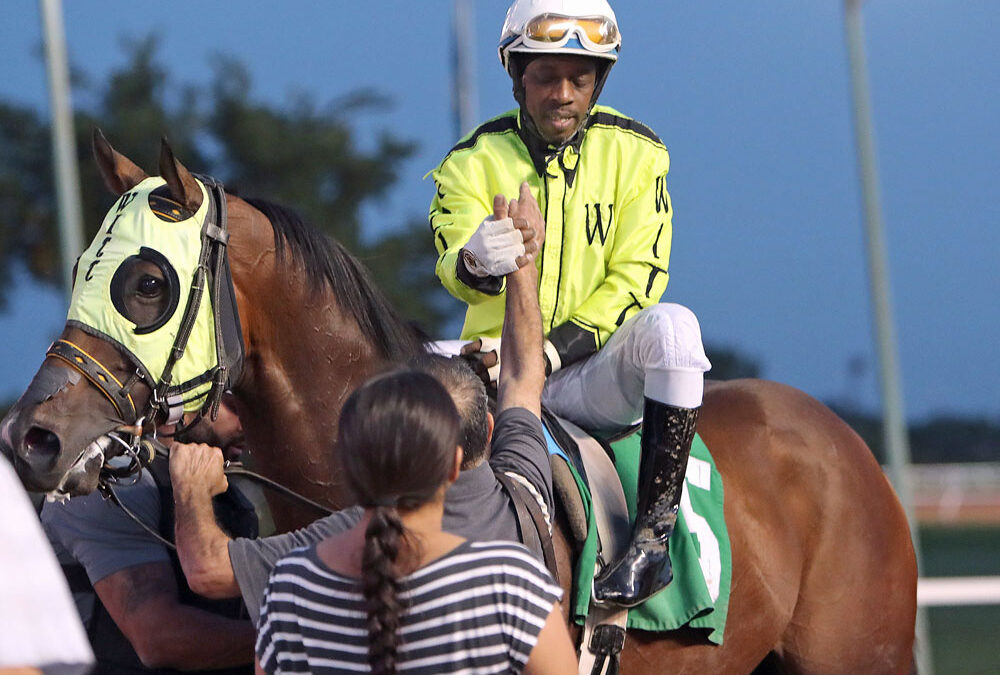 Jerry Gourneau on a Roll, Hidden Grace Baby Tops Yearling Sale at $36,000, Take Charge Tom Wins Canadian Derby