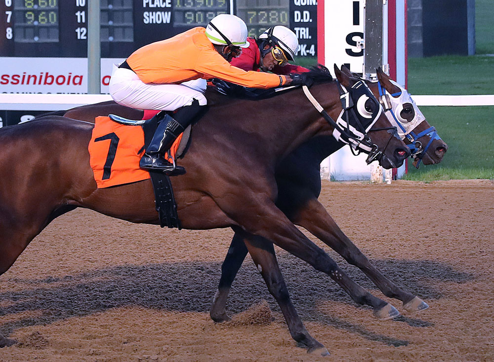 Designated Hitter (inside) and Javaniel Patterson hold off Totalizer and Rachaad Knights in the third race on Wednesday. (Jason Halstead / Assiniboia Photo)