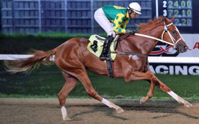 The Gold Rush Is On: CTHS Manitoba Yearling Sale This Sunday