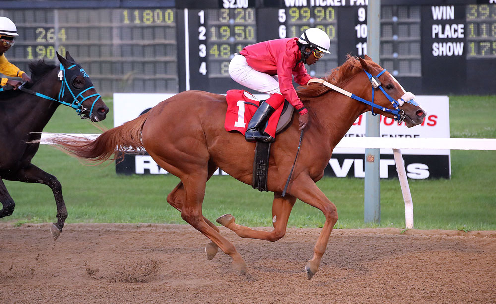 Zibibbo and Javaniel Patterson win the first race on Tuesday. (Jason Halstead / Assiniboia Photo)