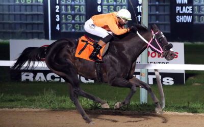 Manitoba-Breds Star in Stakes Action, Chief Murray Clearsky Honoured, Williams Wins Osiris