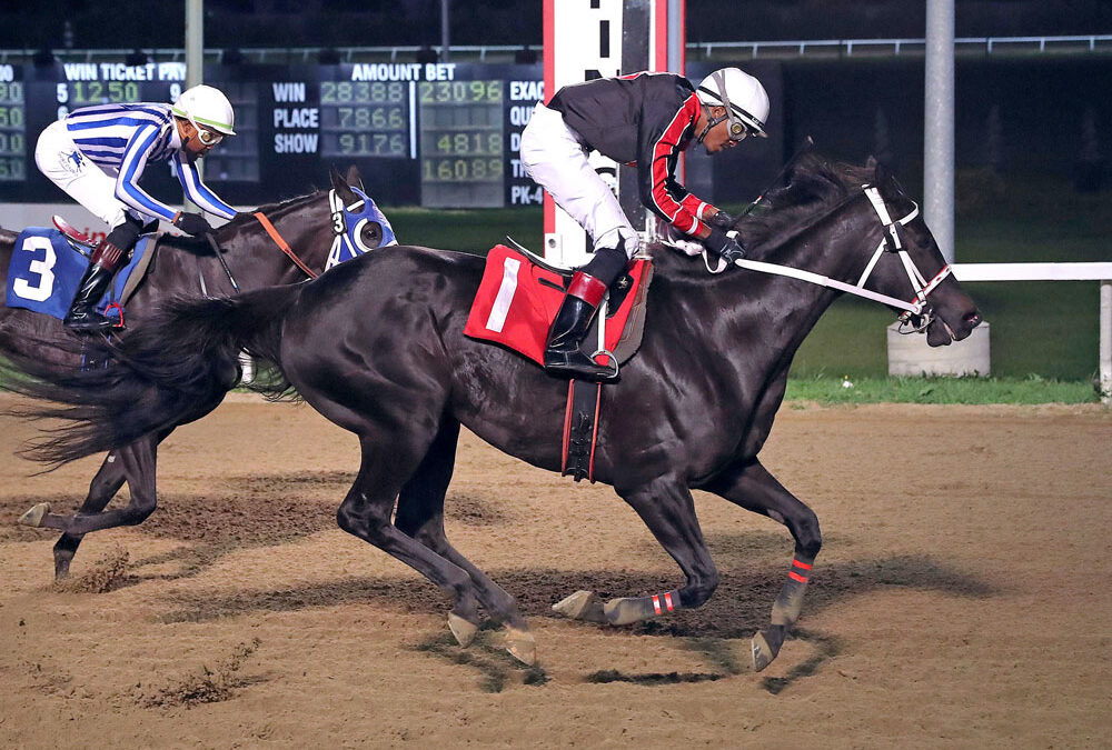 Bynoe Puts on a Riding Clinic, Gourneau, Taphorn Win Big in Championship Races