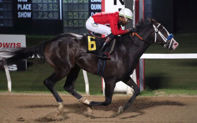 2-Year-Old Stars Impress in Winnipeg Futurity and Buffalo Stakes, Bynoe and Keplin Take Big Leads Into Final Week