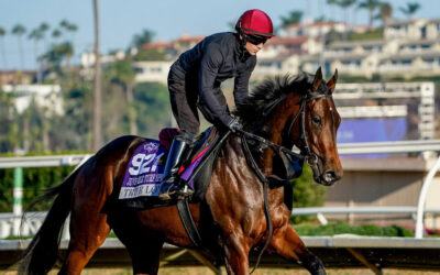 Breeders’ Cup Analysis