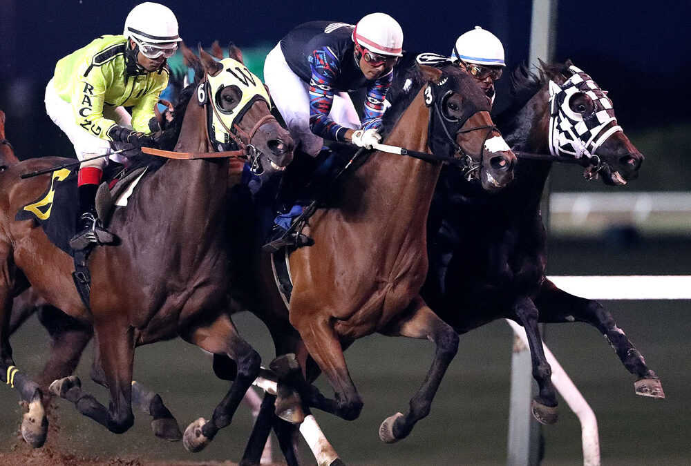 Leading Earners! Top Five Horses at ASD in 2025.