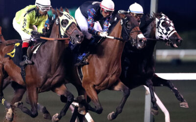 Leading Earners! Top Five Horses at ASD in 2025.